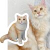 ペット写真オリジナルフィギュア！