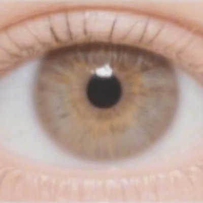 Hazel